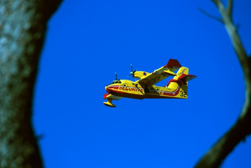 Incendie du 3 août 2009